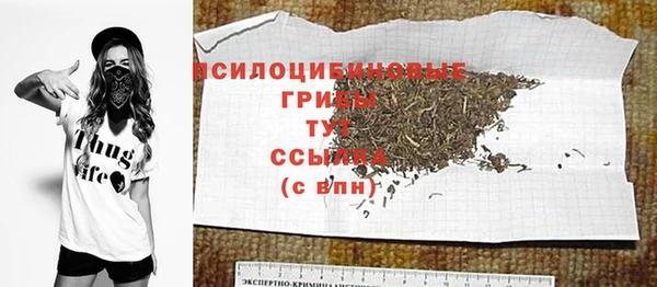 герыч Алексин