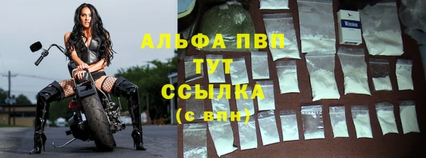 прущий лед Алзамай