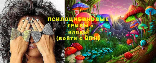 герыч Алексин