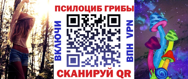 дарнет шоп Рошаль гидра Галлюциногенные грибы Psilocybine cubensis
